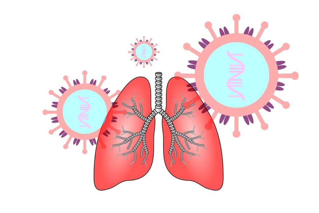 coronavirus, sars-cov-2, lung, lung disease, corona, infection, virus, rna, outbreak, pandemic, epidemic, pathogen, transmission, biology, lung, lung, lung, lung, lung, rna